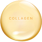 collagen-11