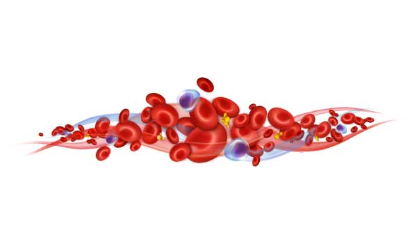 ویتامین b12 کمک به تشکیل گلبول قرمز