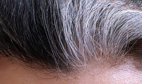 چگونه از سفید شدن زودرس موها جلوگیری کنیم؟