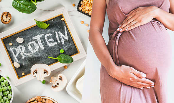 مصرف پروتئین در رژیم بارداری