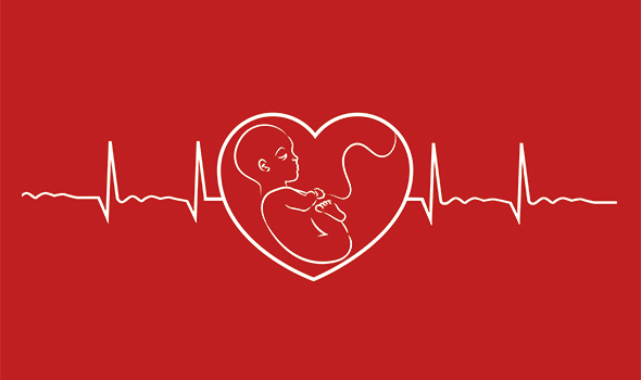 آیا سکسکه جنین ضربان قلب را افزایش می‌دهد؟