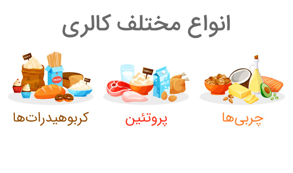 انواع مختلف کالری و اثرات آن